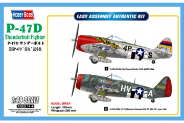 Самолет P-47D Thunderbolt (1/48)